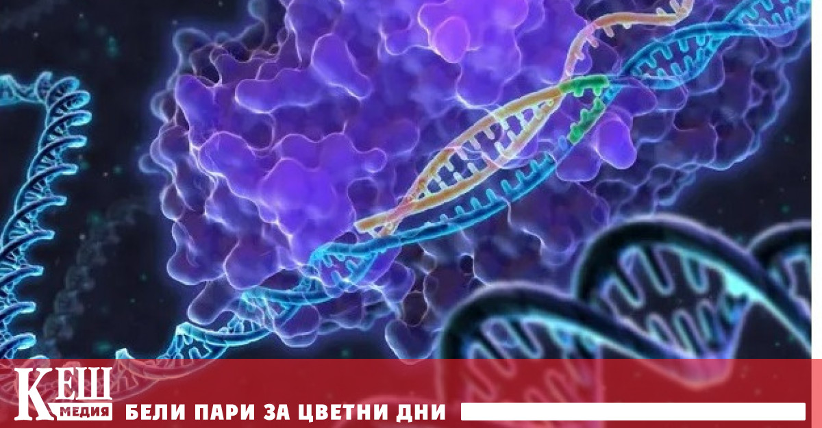 Според резултатите от социологическо проучване повече от половината жители на