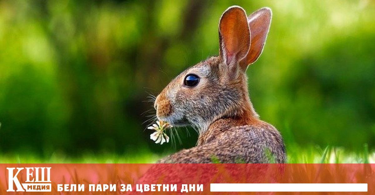 Учени са създали ДНК технология която отчита промени в генеалогичните