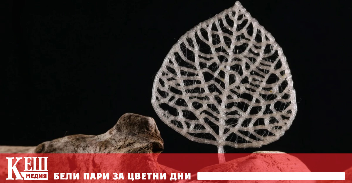 Производството на екологична биоразградима алтернатива на замърсяващата пластмаса за ежедневна