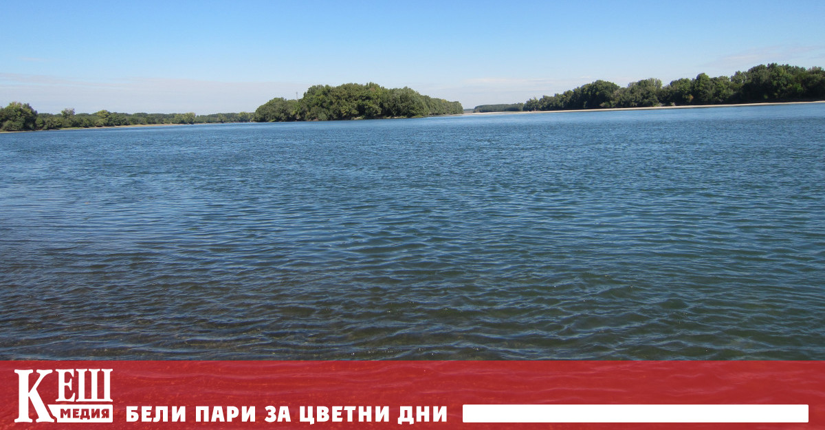 Фестивали пленери екологични акции концерти и изложби различни градски тържества