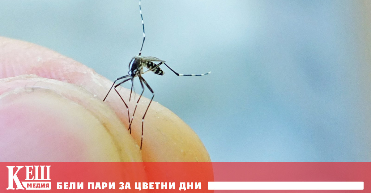 Основнен фактор е кръвната група Експериментално се установи че в