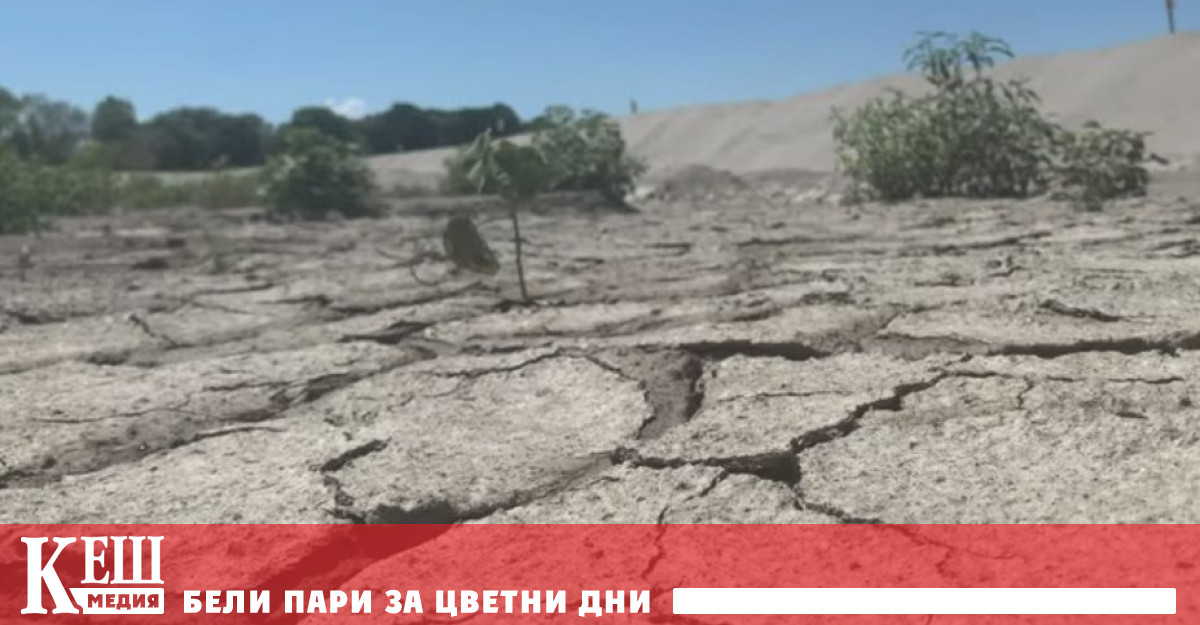 Във всеки случай само преди шест месеца тези петна от