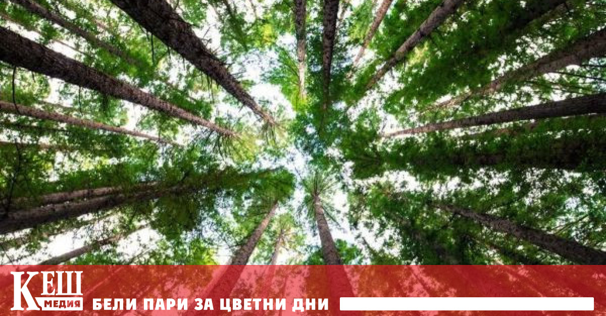 Ако човечеството иска да постигне целите посочени в Парижкото споразумение