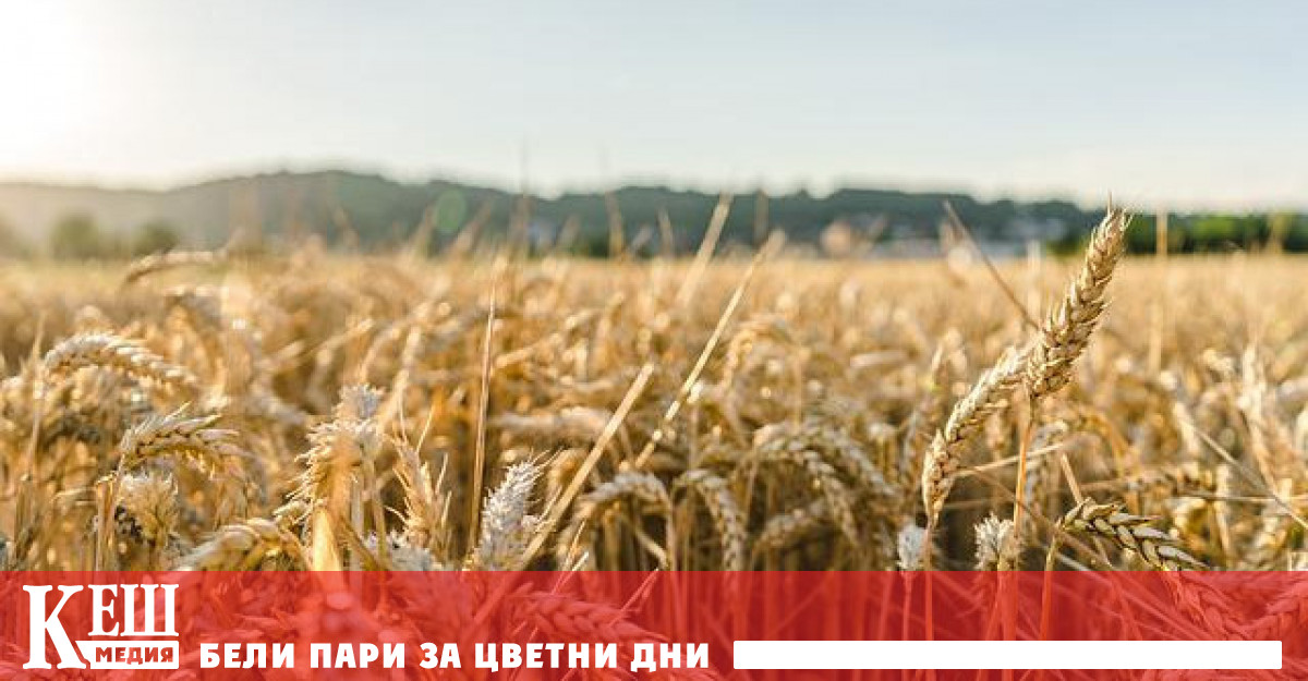 Предвижда се делегациите да прекарат два дни в правителствена сграда