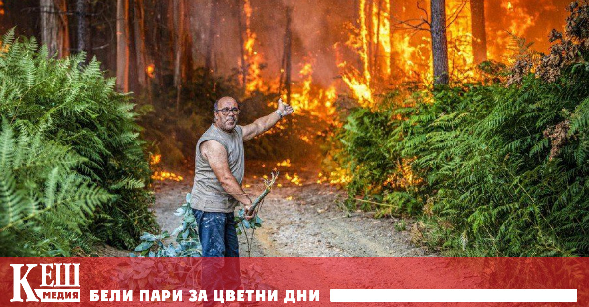Централната част на Португалия е особено силно засегната от пожари
