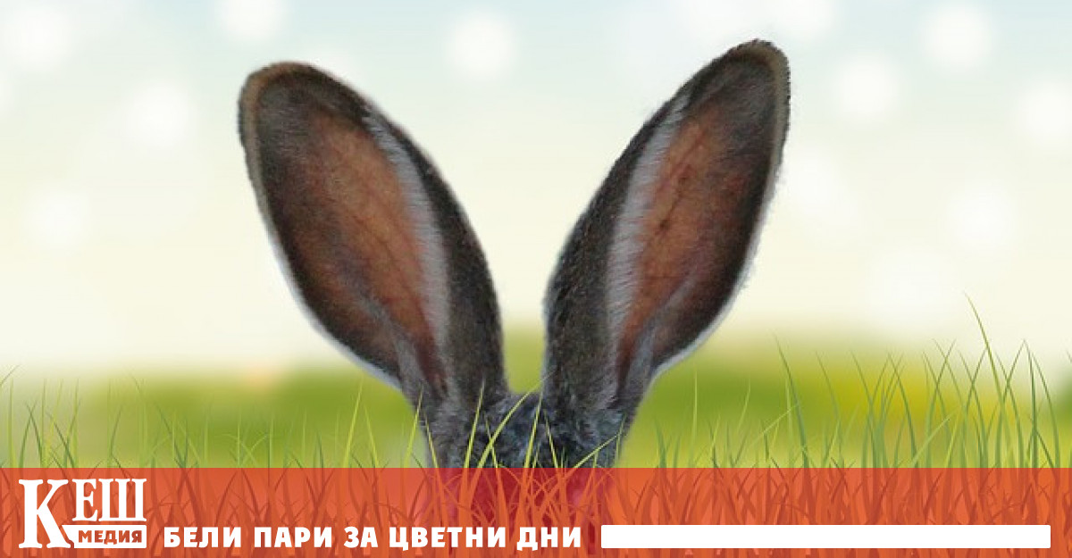 Почти всеки човек сигурен е неврологът може да се научи