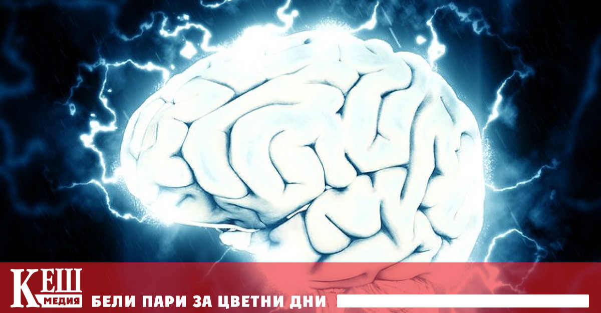 Изследователи от университета в Копенхаген установиха че хормонът на стреса