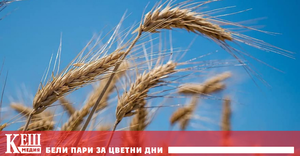 Президентът на Джо Байдън отдели един милиард долара за продоволствена