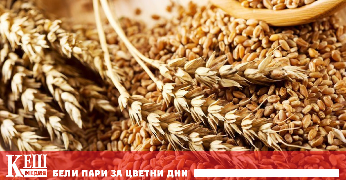 Споразумение за създаване на коридор за транспортиране на украинско зърно