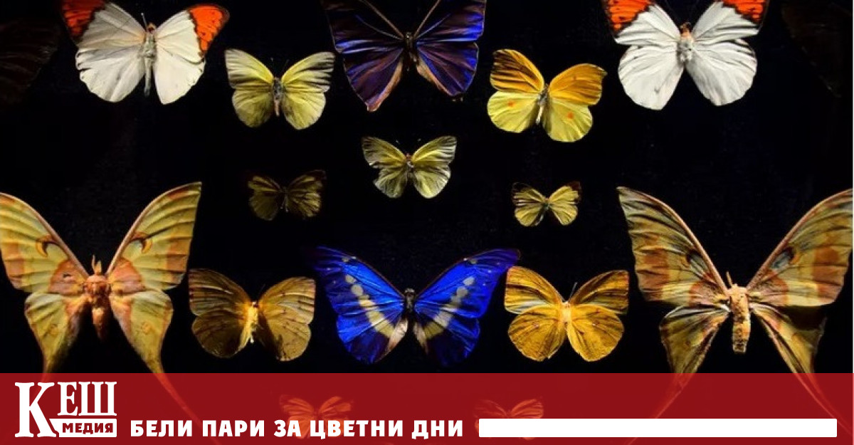 Изследователски екип установи че до 2100 г почти всеки трети