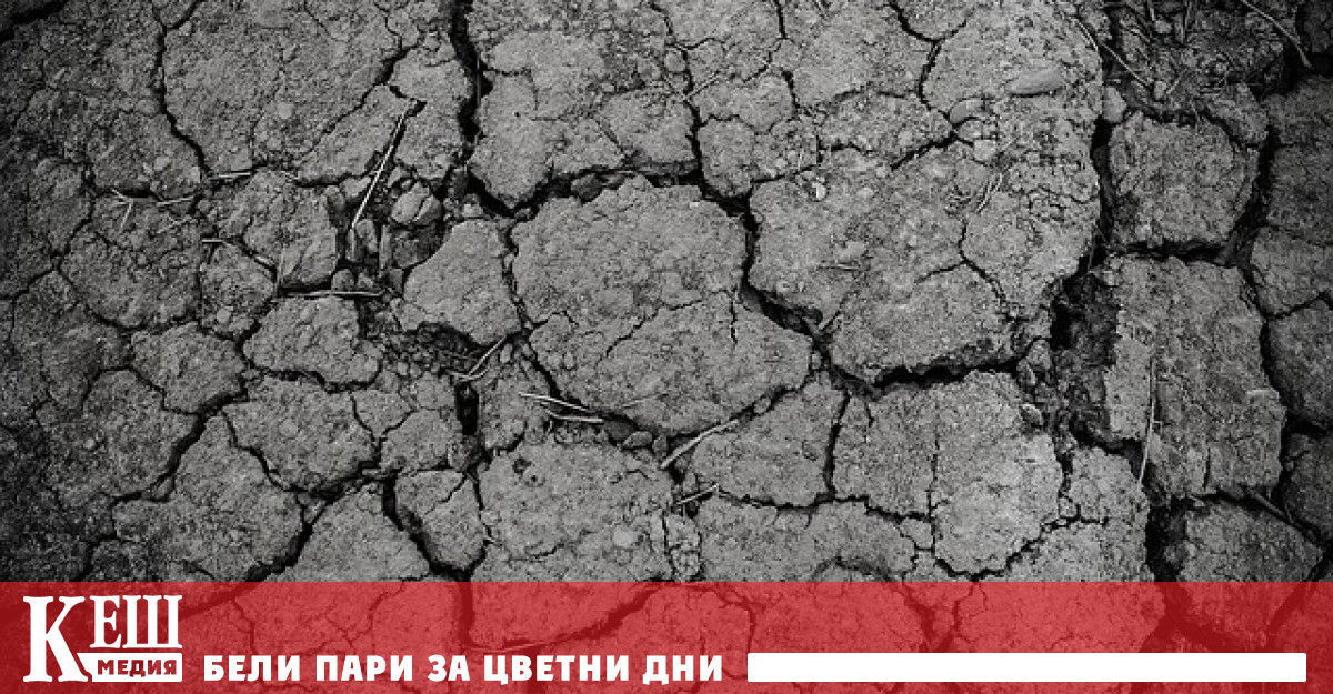 Особено засегнати бяха овощните градини в района на Лисабон в