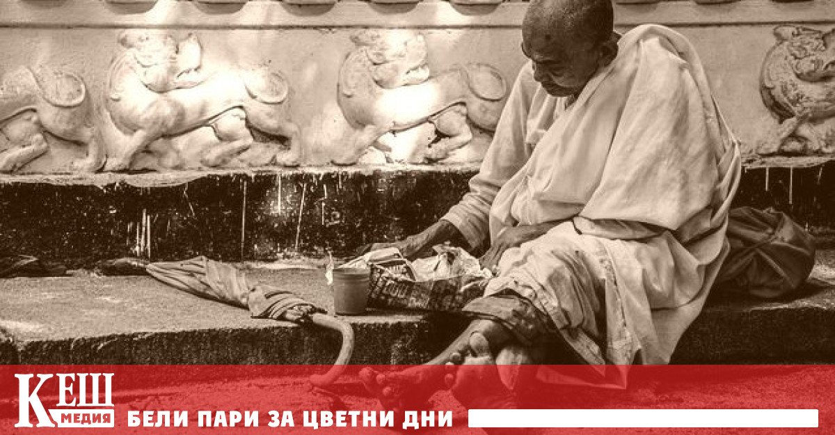 Това заключение направиха експерти на ООН според които през миналата