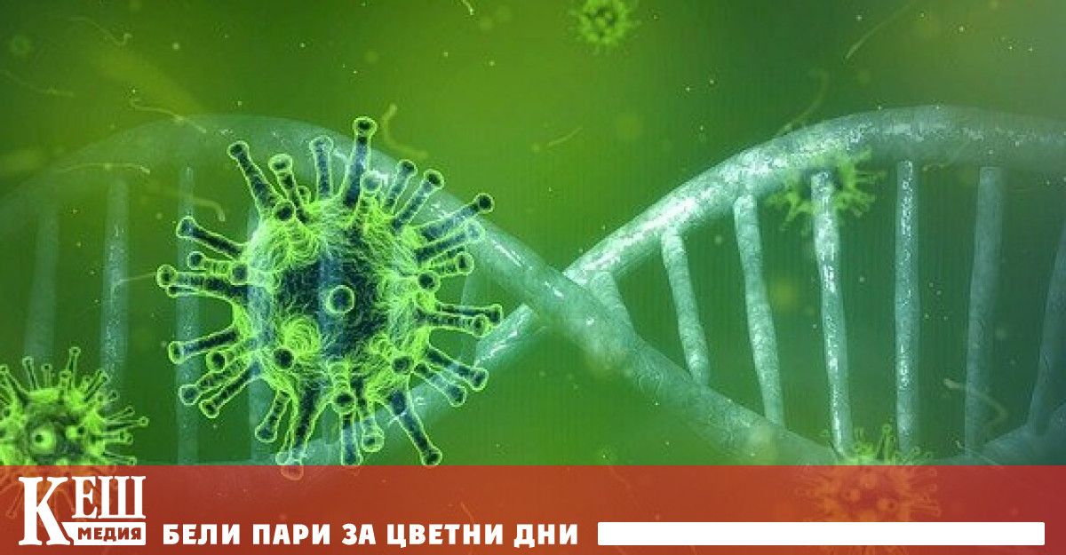 Група учени от Бразилия установиха че почти една четвърт от