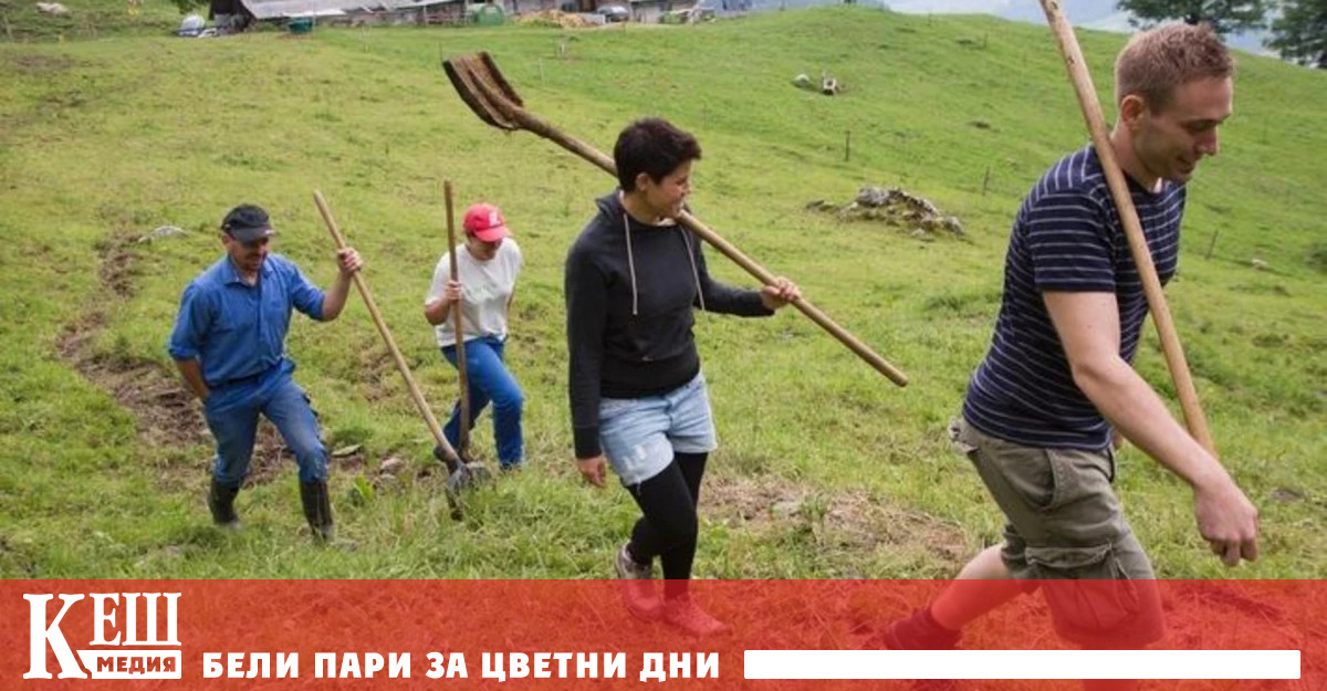 През настоящия активен селскостопански сезон около 90 планински семейни ферми