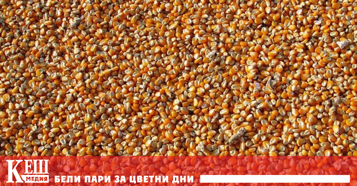 Корабът ще се насочи към Ливан Корабът Razoni плава под