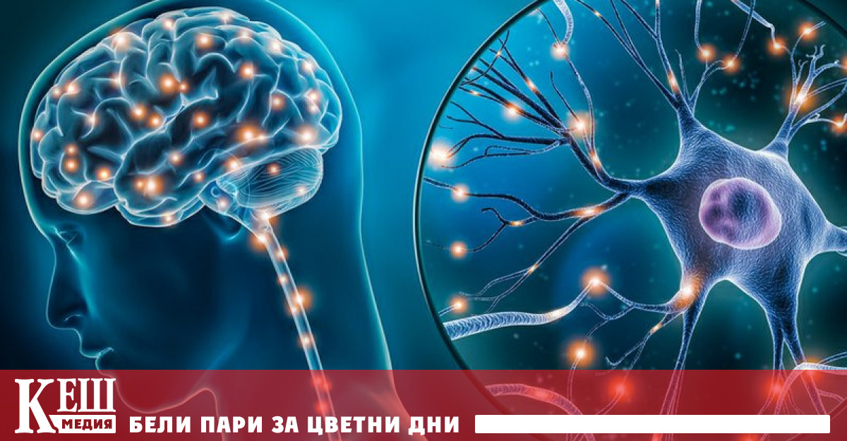 Това обновяване може да предотврати възрастови заболявания като Алцхаймер и