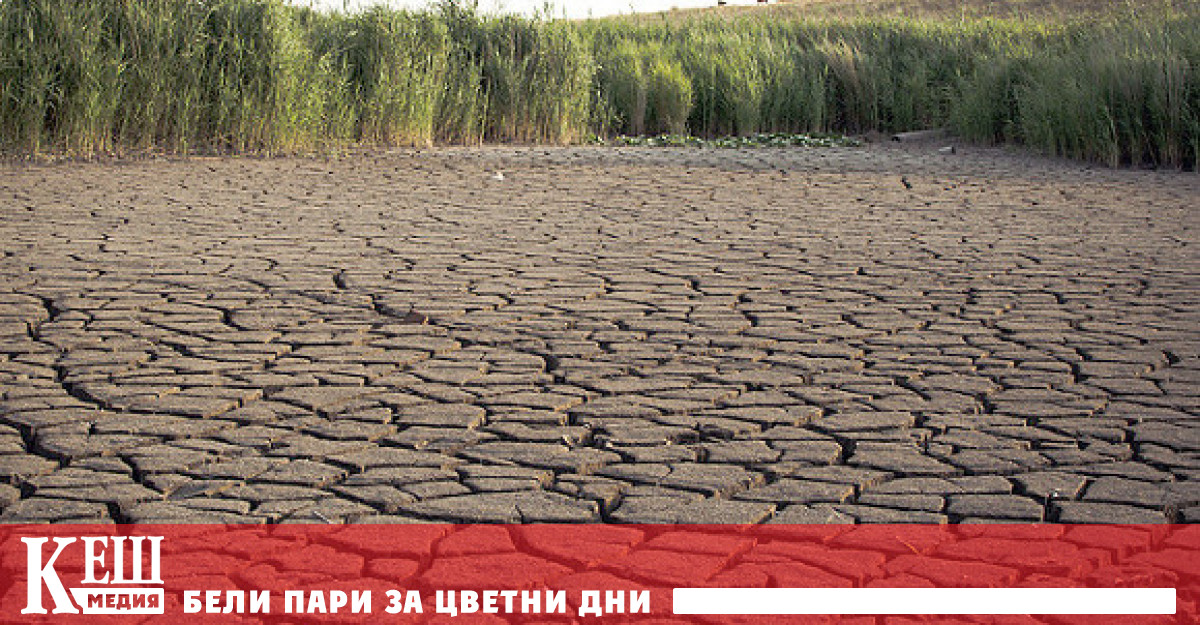 Това съобщава Bloomberg позовавайки се на изявление на германските власти