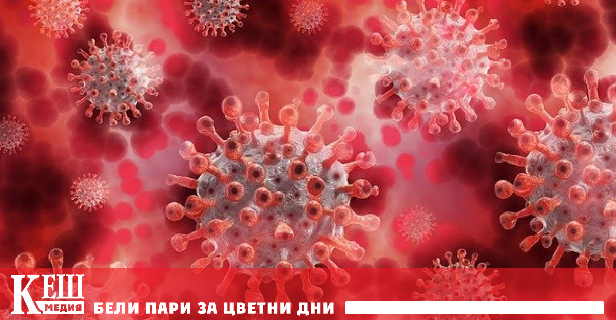 Така започналата през май епидемия от болестта която севернокорейските власти