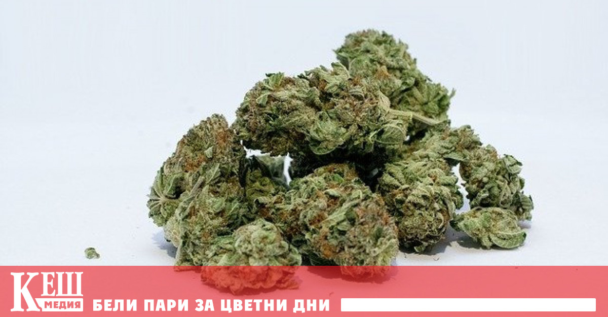 Инициативата за откриване на такива стаи беше подкрепена от 50