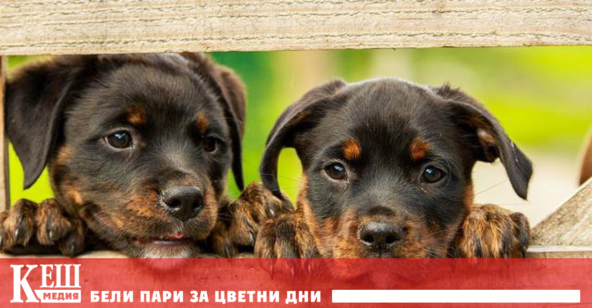 Това се случва поради факта че вече не могат да