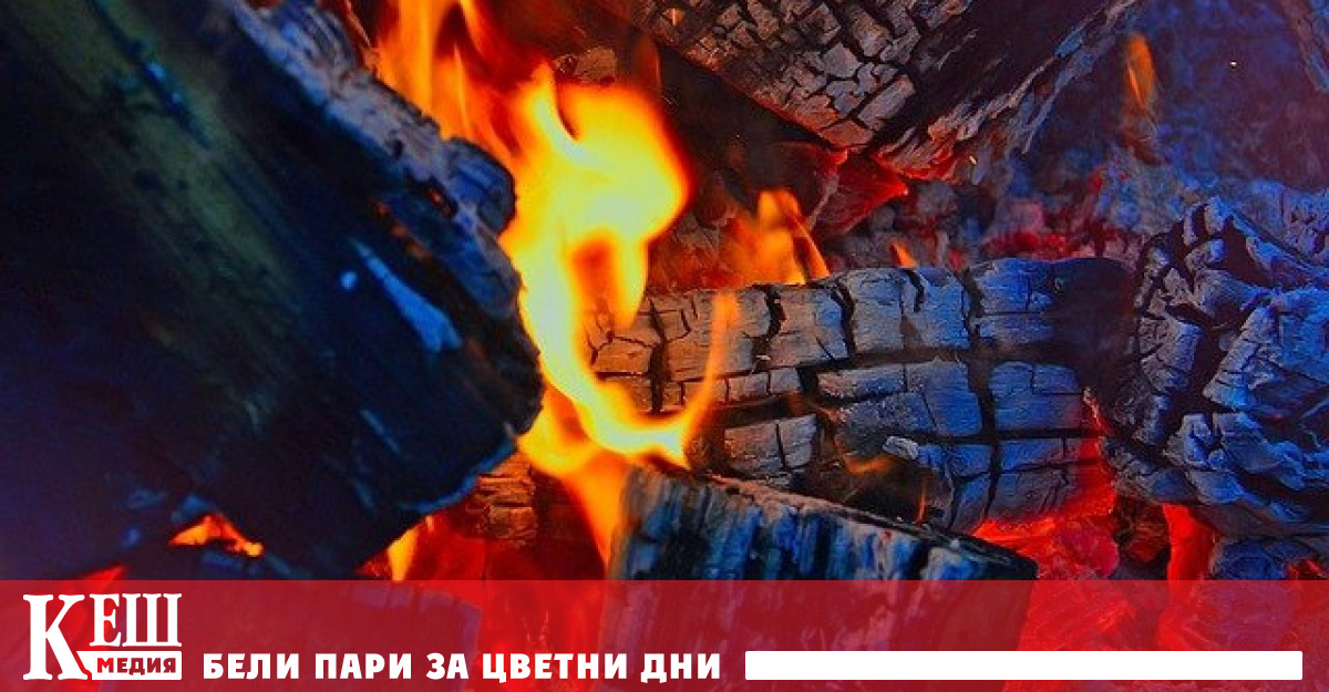 В Унгария влиза в сила забраната за износ на дърва