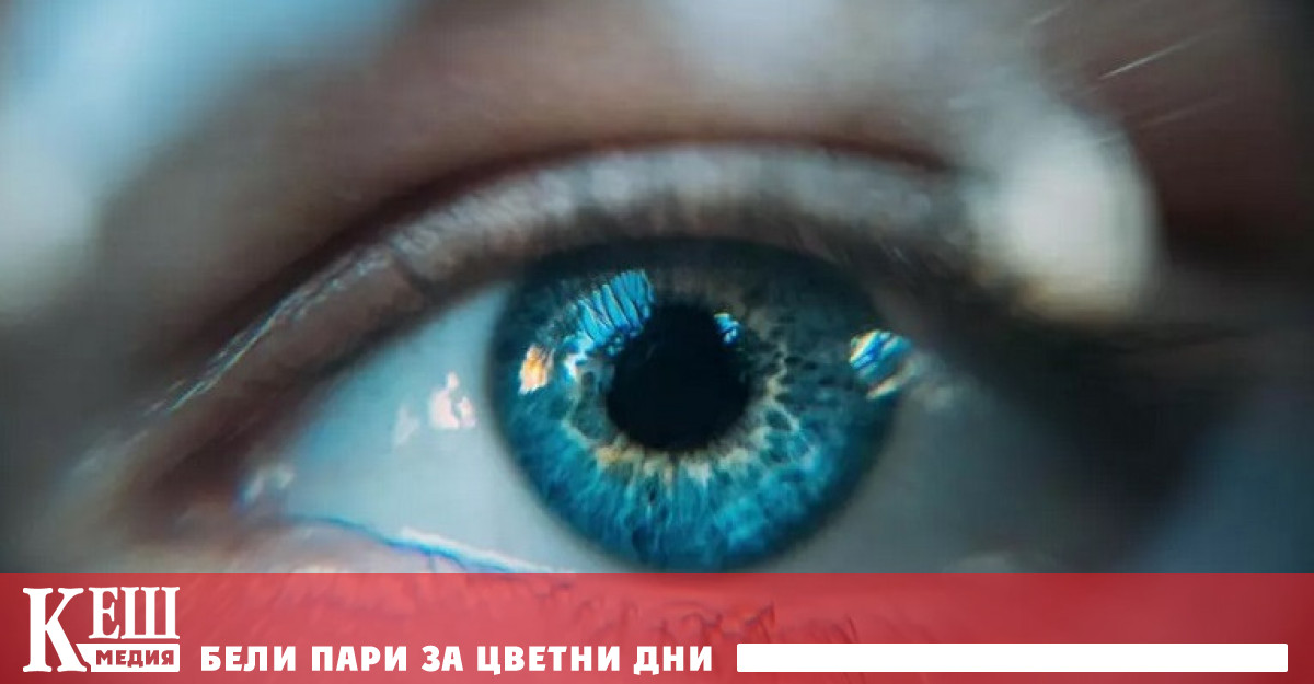 от свинска кожа върнаха зрението на 20 души със засегната