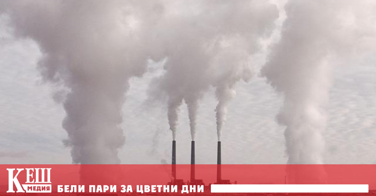 В тази връзка страните потребители все повече се ориентират към