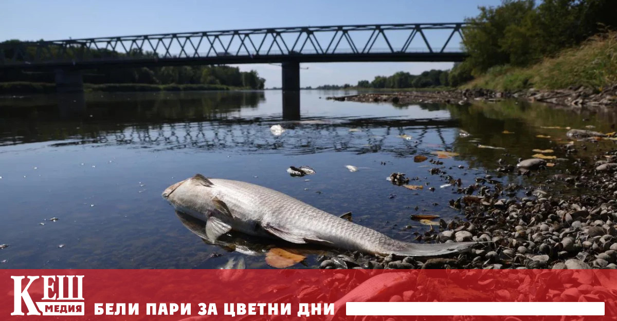 Досега са изследвани най малко 150 проби вода от река Одер