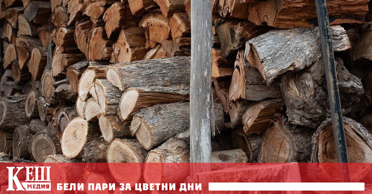 Държавните горски предприятия са увеличили приходите си с близо 35