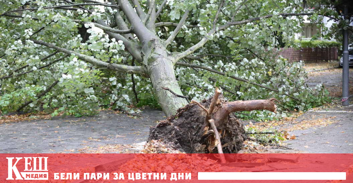 Във Венеция туристите са принудени да се спасяват от силния