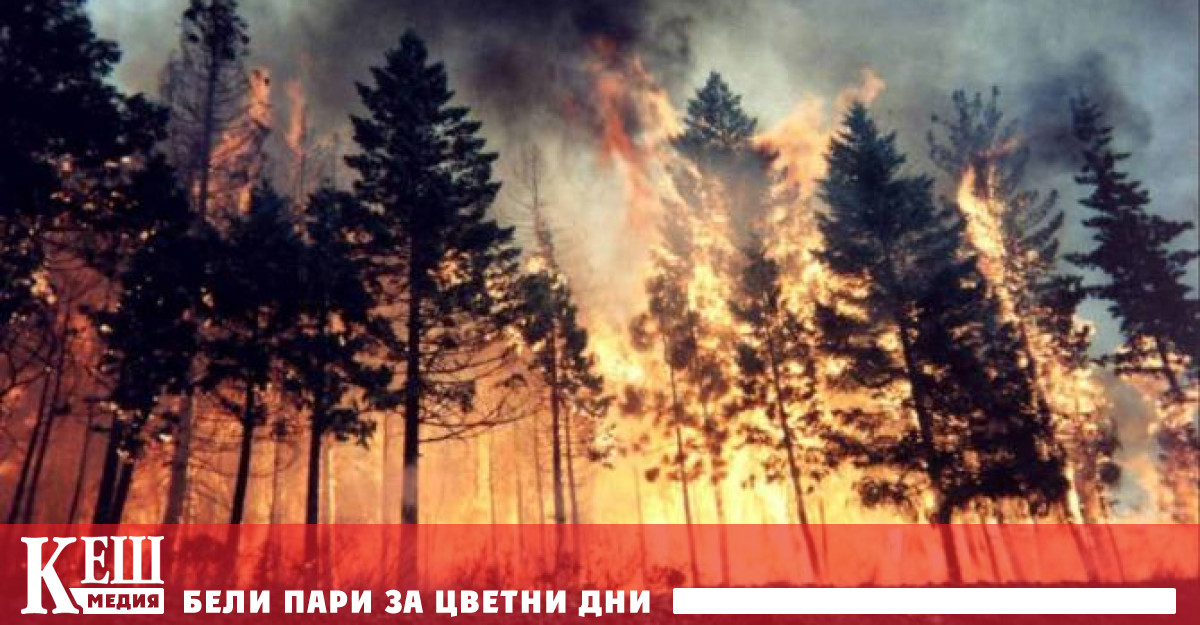 Това каза на брифинг в Брюксел представителят на Европейската комисия