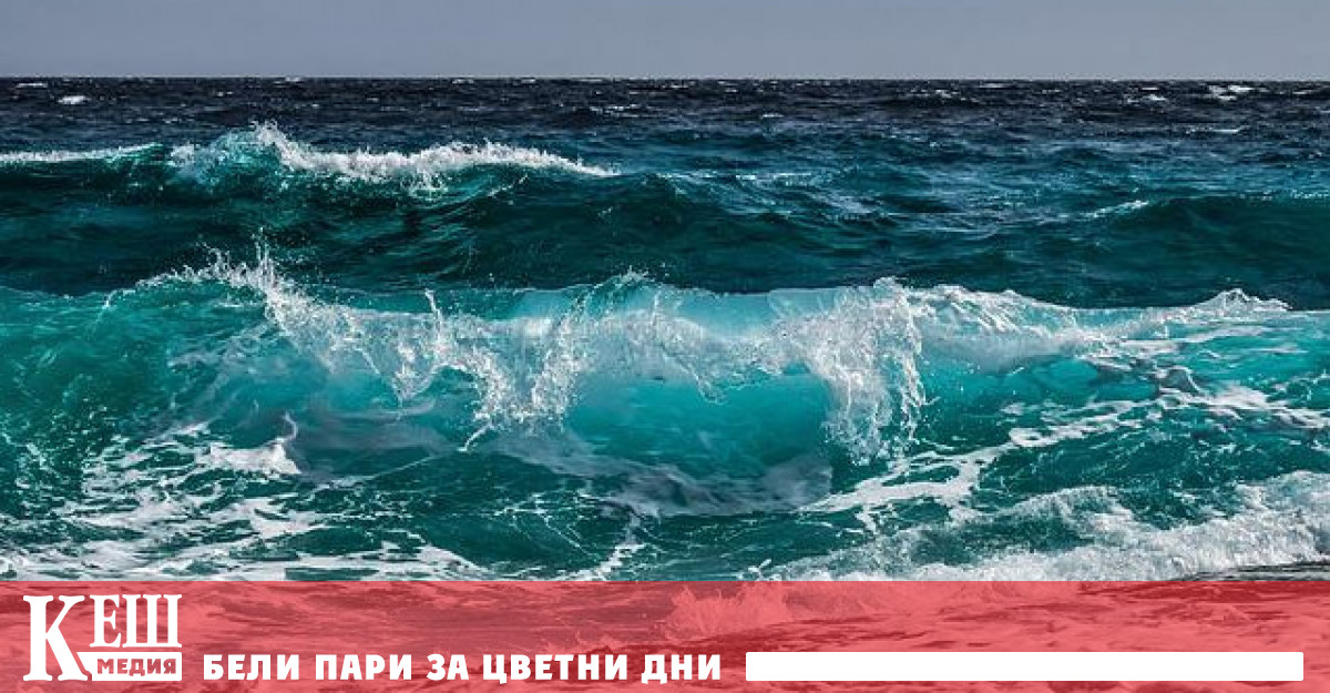 Такава прогноза направиха учени под ръководството на университета Далхаузи в