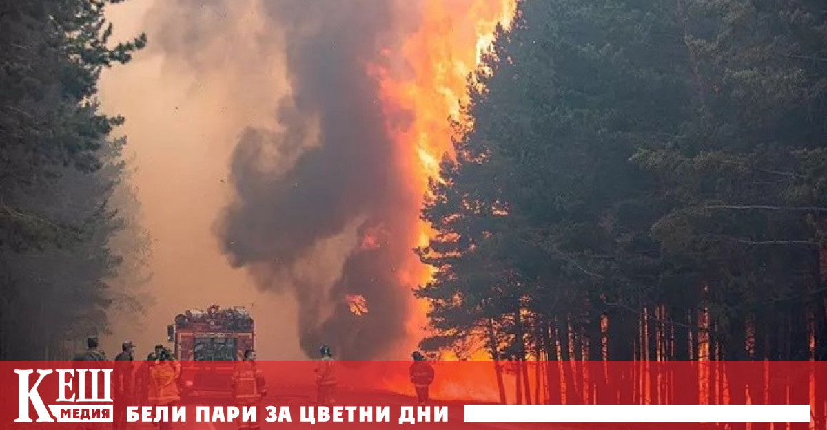 Пожарът е избухнал на 7 август но от Рязанска област