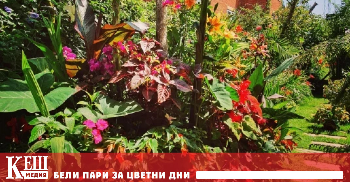 Британски градинари обясниха пред BBC News че през последните години