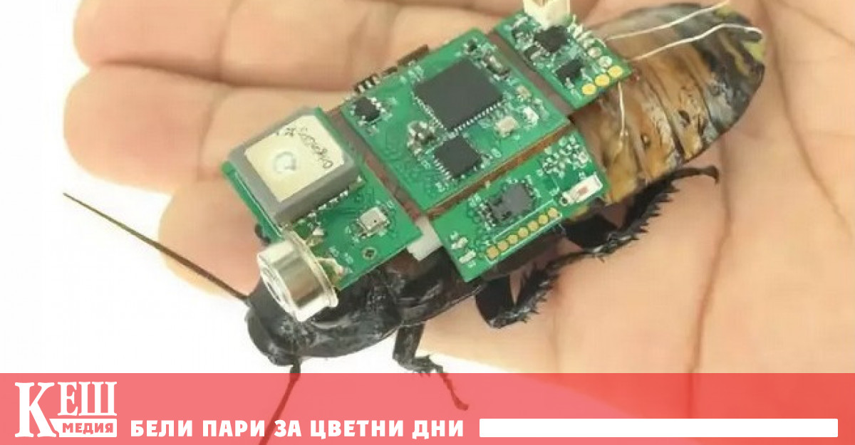 Екип от учени от японската изследователска организация RIKEN Cluster for