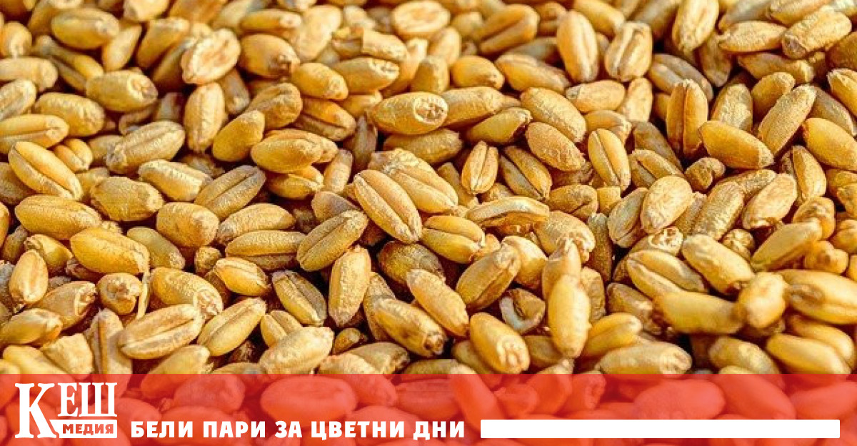 Според него заради това сделката за износ на храни може