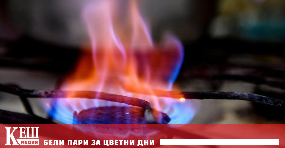 Най високите цени на електроенергията за домакинствата сред европейските страни са