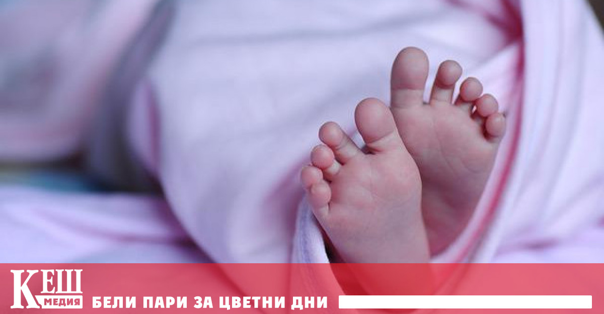 До този извод стигнаха членове на правителствената експертна група по