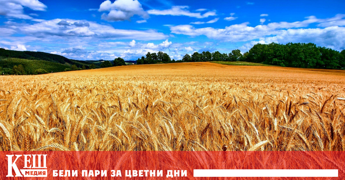 Повечето наблюдатели обаче останаха нащрек – и не грешаха На