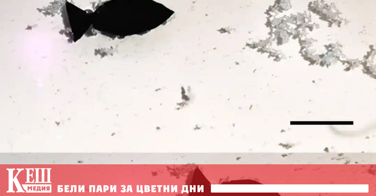 В изследвани проби от листа на растения учени за първи