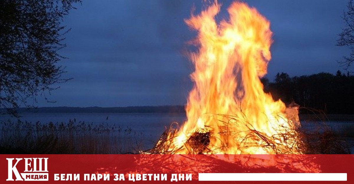 Все повече хора искат да си купят дърва за огрев