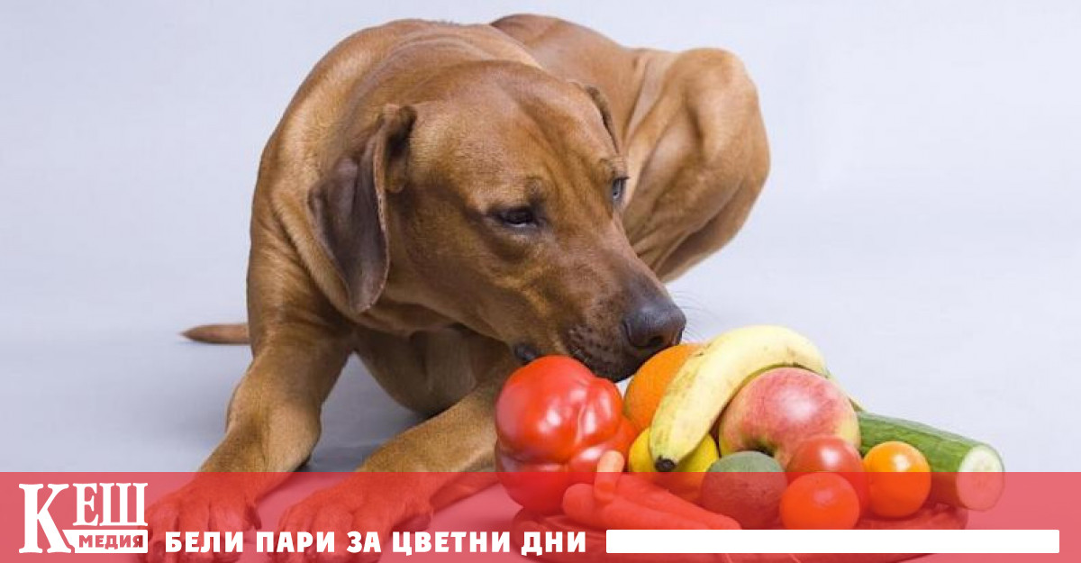 Във всеки случай в това са убедени британските диетолози съобщава