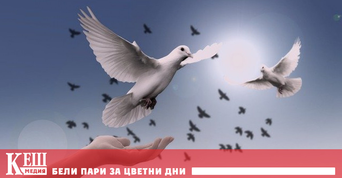 Мексиканският външен министър Марсело Ебрард ще внесе инициатива в ООН