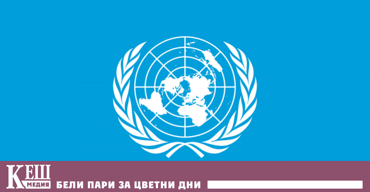 Това заяви германският канцлер Олаф Шолц на 77 ата сесия на