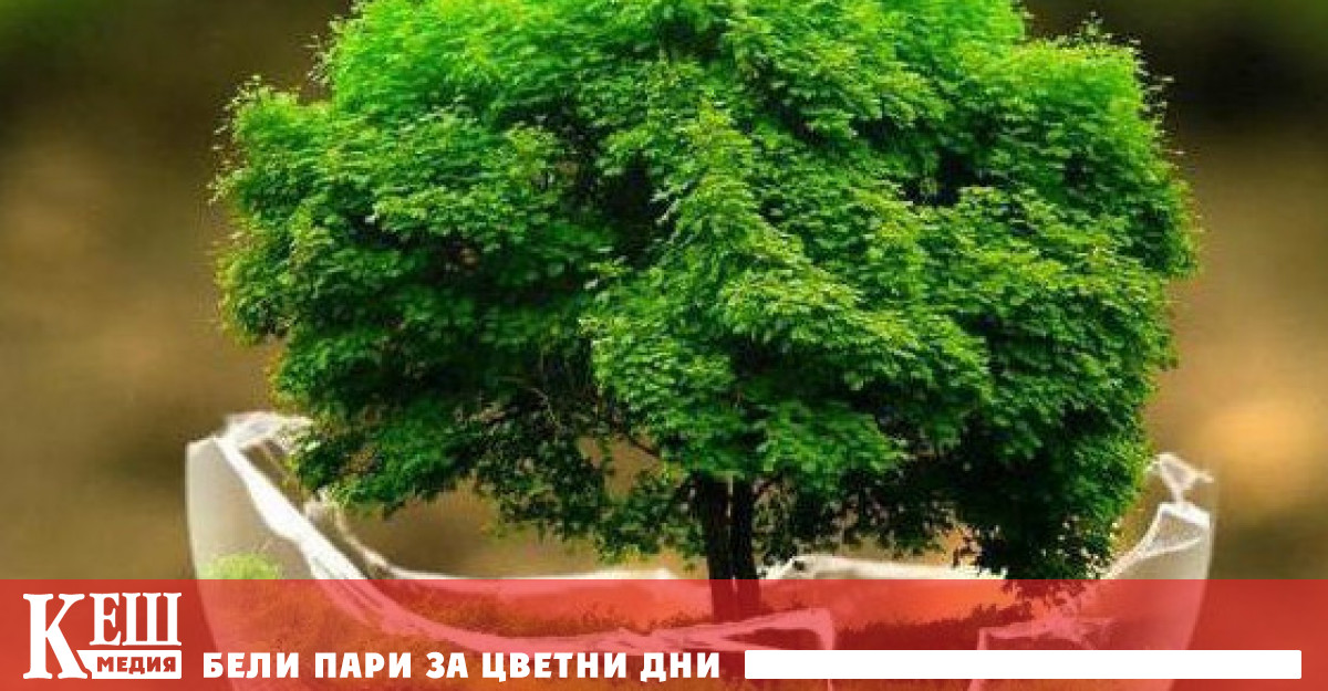 Днес започва образователната екологична инициатива която се провежда под патронажа