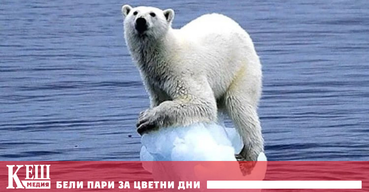 Всички измирания които са се случили преди са възникнали поради