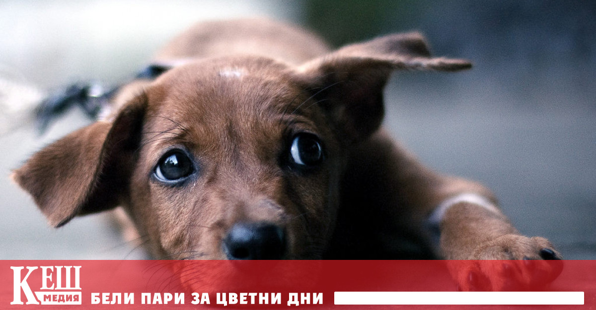 Благотворителната акция на тийнеджъра е вдъхновена от негов приятел който