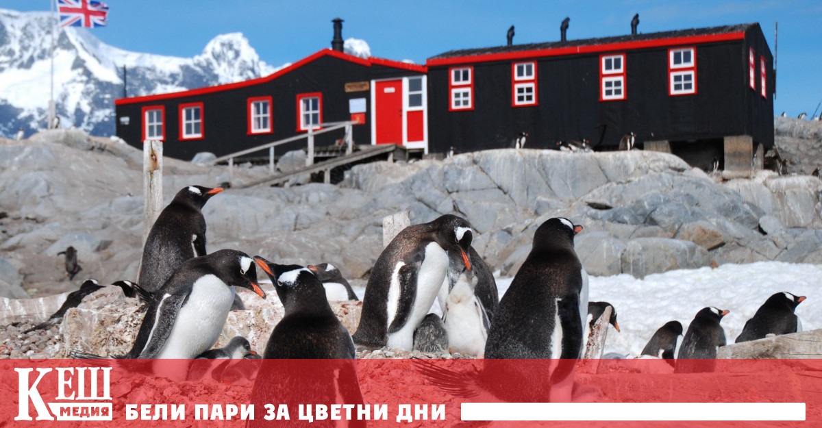 Четирите дами ще пропътуват близо 14 500 км за да