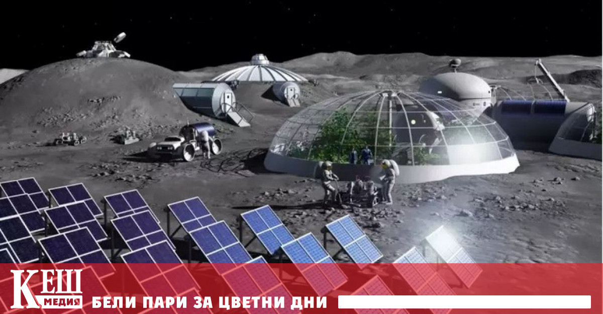 Австралийски учени смятат да отглеждат растения на до 2025 г