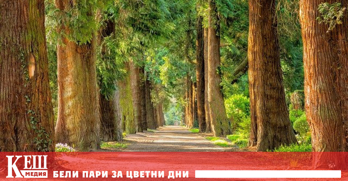 Около 70 от топлината в Европа се осигурява от природен